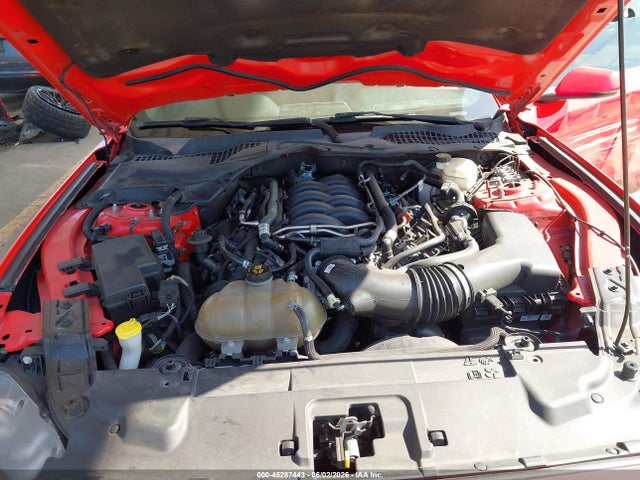 1FA6P8CF8K5159218 Ford Mustang Gt Premium