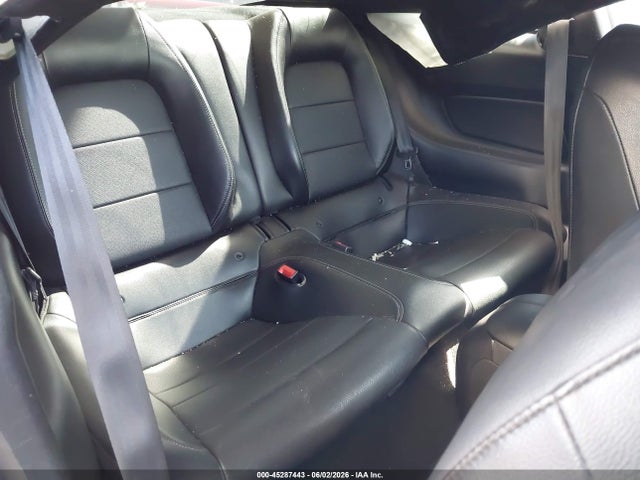 1FA6P8CF8K5159218 Ford Mustang Gt Premium