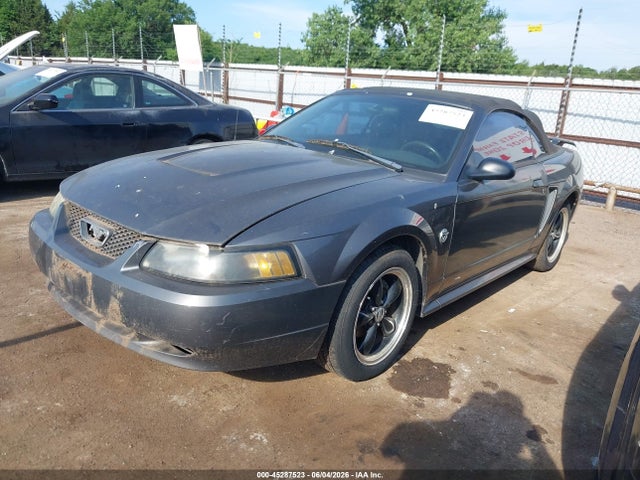 Продаж на аукціоні авто 2004 Ford Mustang, vin: 1FAFP44684F242507, номер лоту: 45287523