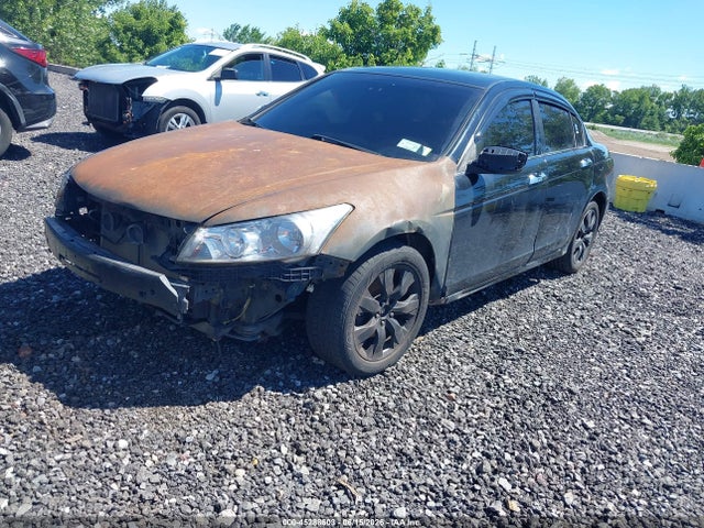 Aukcja sprzedaży 2010 Honda Accord 3.5 Ex-l, vin: 1HGCP3F89AA012751, numer aukcji: 45288603