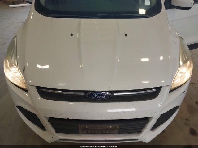 Ford ESCAPE SE 2016 1FMCU9GX6GUC83933 Image 6