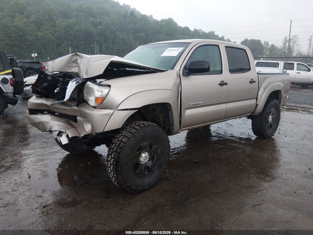 2008 Toyota Tacoma Base V6 მანქანა იყიდება აუქციონზე, vin: 5TELU42N58Z506825, აუქციონის ნომერი: 45289556