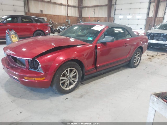 Продаж на аукціоні авто 2005 Ford Mustang, vin: 1ZVFT84N655243731, номер лоту: 45289975