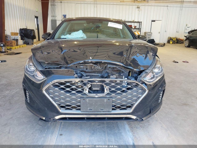 Hyundai Sonata Limited 2019 5NPE34AF2KH807570 Image 12