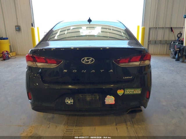 Hyundai Sonata Limited 2019 5NPE34AF2KH807570 Image 16
