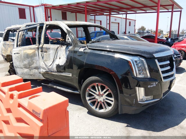 2019 1GYS3GKJ6KR217382 главное изображение