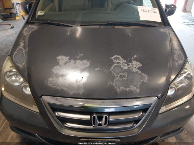 Auction sale of the 2006 Honda Odyssey Ex-l, vin: 5FNRL38776B446805, lot number: 45292704