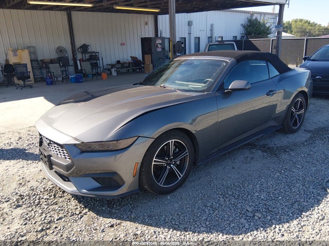 45293045 :رقم المزاد ، 1FAGP8UH3S5117799 vin ، 2025 Ford Mustang Ecoboost Premium مزاد بيع