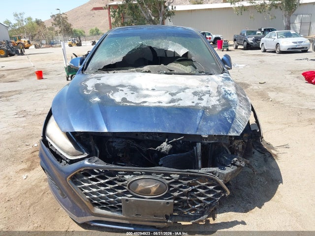 Hyundai SONATA SEL 2019 5NPE34AF9KH768489 Image 11