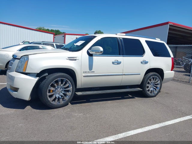 Продажа на аукционе авто 2011 Cadillac Escalade Platinum Edition, vin: 1GYS4DEF8BR190253, номер лота: 45295134