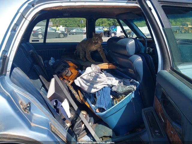 45295182 :رقم المزاد ، 1G4CW53L3N1659928 vin ، 1992 Buick Park Avenue مزاد بيع
