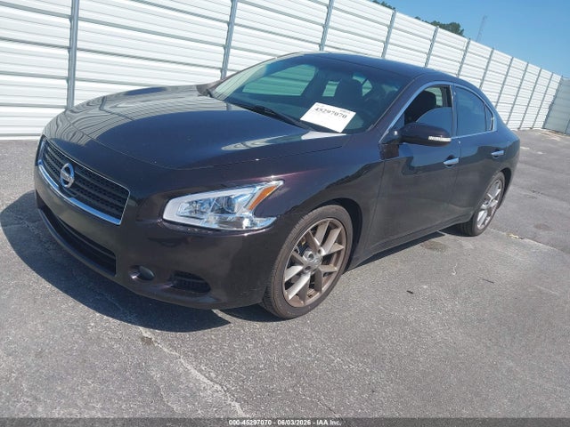 Продажа на аукционе авто 2011 Nissan Maxima 3.5 Sv, vin: 1N4AA5AP5BC848960, номер лота: 45297070