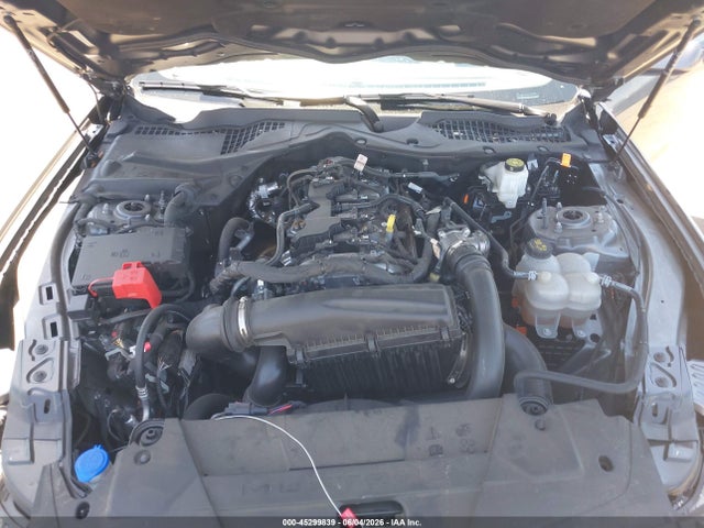 Ford Mustang Ecoboost Fastback 2024 1FA6P8TH8R5126117 Image 10