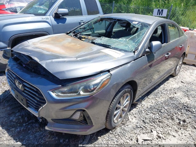 Продаж на аукціоні авто 2018 Hyundai Sonata Eco, vin: 5NPE24AA8JH679955, номер лоту: 45300078