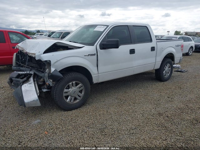 Ford F-150 Xl 2014 1FTFW1EF9EKG24323 Image 2