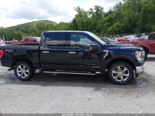 Продаж на аукціоні авто 2021 Ford F-150 Xlt, vin: 1FTFW1ED7MFC99838, номер лоту: 45302201