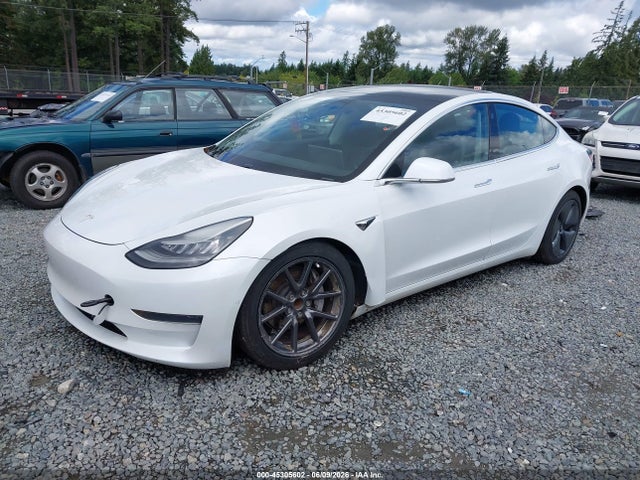 Продажа на аукционе авто 2020 Tesla Model 3 Standard Range Plus Rear-wheel Drive/standard Range Rear-wheel Drive, vin: 5YJ3E1EA8LF504842, номер лота: 45305602