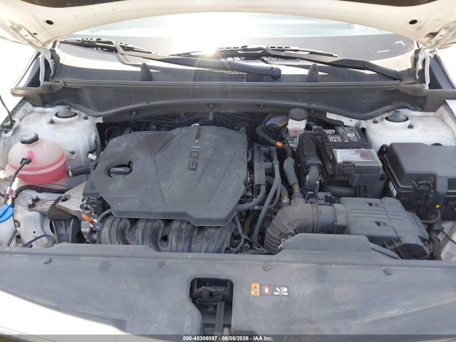 KIA Sportage X-pro 2024 5XYK7CDF4RG154979 Image 10