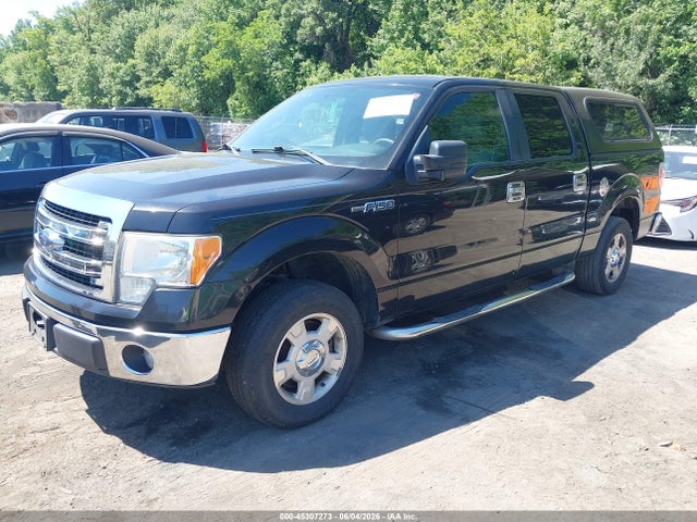 45307273 :رقم المزاد ، 1FTEW1CM2DFB73529 vin ، 2013 Ford F-150 Xlt مزاد بيع