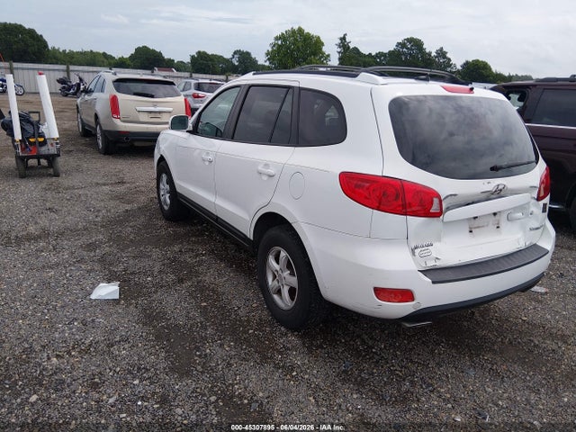 Aukcja sprzedaży 2007 Hyundai Santa Fe Gls, vin: 5NMSG13D87H123385, numer aukcji: 45307895