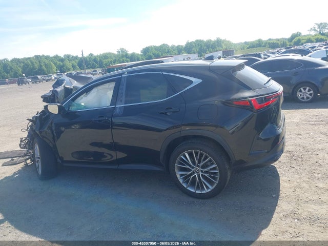 Продажа на аукционе авто 2023 Lexus Nx 350 Luxury, vin: 2T2HGCEZ3PC024893, номер лота: 45307950