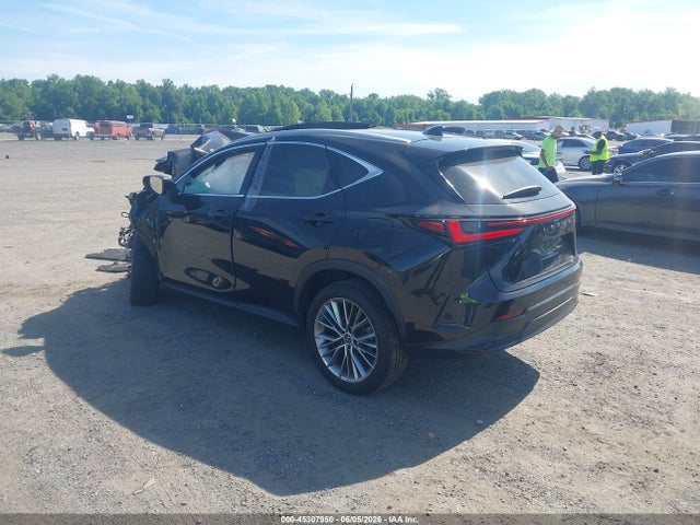Продажа на аукционе авто 2023 Lexus Nx 350 Luxury, vin: 2T2HGCEZ3PC024893, номер лота: 45307950