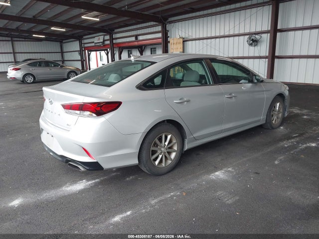 Hyundai SONATA ECO 2019 5NPE24AA6KH774368 Image 4