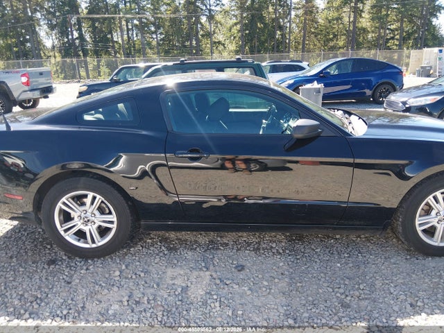 Ford Mustang V6 2014 1ZVBP8AM6E5270278 Image 13