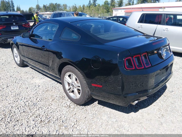 Ford Mustang V6 2014 1ZVBP8AM6E5270278 Image 3