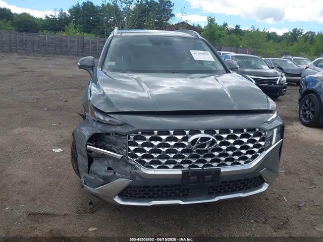 Hyundai Santa Fe Hybrid Sel Premium 2023 5NMS3DA11PH016068 Image 6