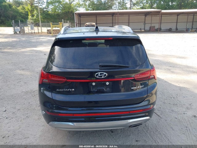 5NMS5DAL7NH440430 Hyundai Santa Fe Calligraphy