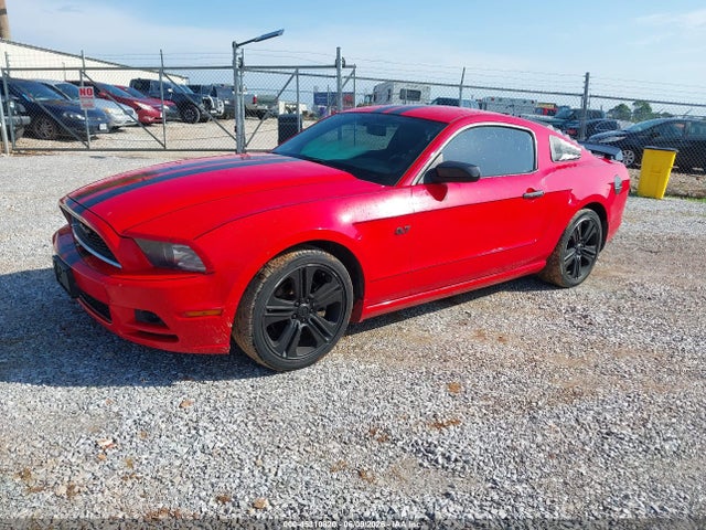 1ZVBP8AM3E5334549 Ford Mustang V6