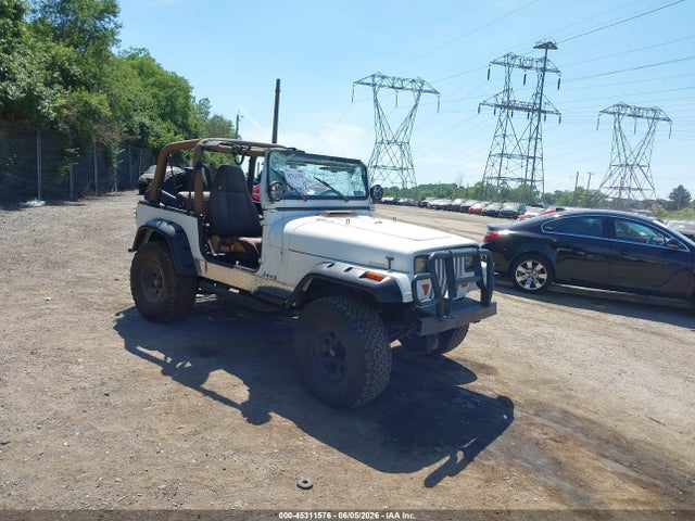 Продажа на аукционе авто 1995 Jeep Wrangler / Yj Se, vin: 1J4FY29S6SP240662, номер лота: 45311576