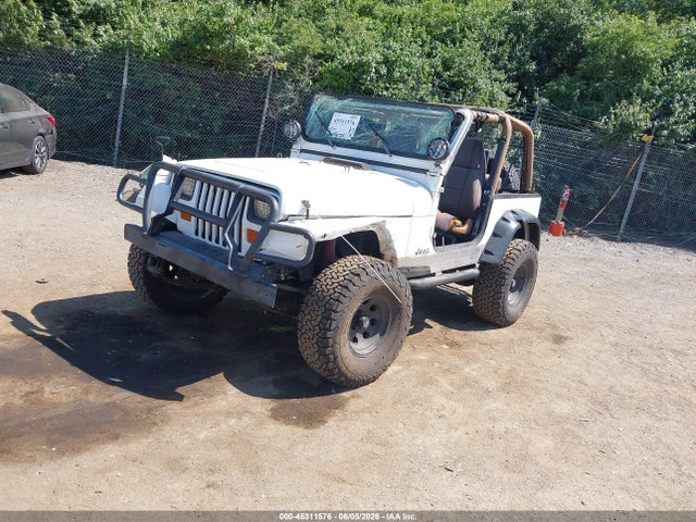 Продажа на аукционе авто 1995 Jeep Wrangler / Yj Se, vin: 1J4FY29S6SP240662, номер лота: 45311576