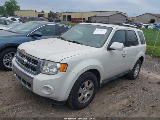 Auction sale of the 2011 Ford Escape Limited, vin: 1FMCU0E7XBKA67523, lot number: 45314006