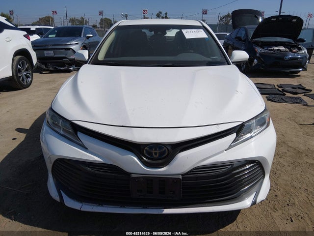 45314629 :رقم المزاد ، 4T1B31HK1KU516712 vin ، 2019 Toyota Camry Hybrid Le مزاد بيع