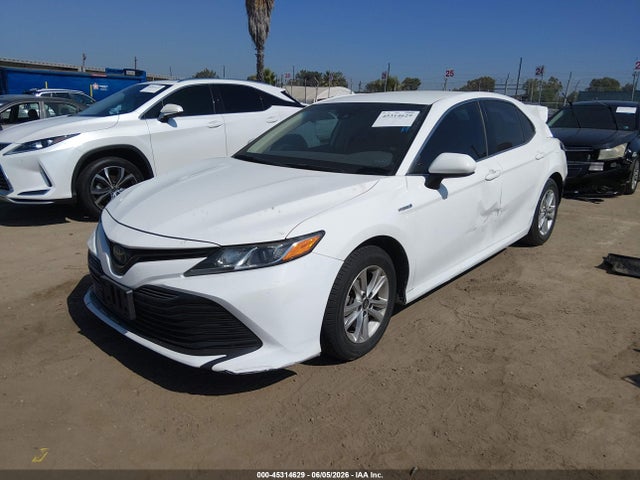 45314629 :رقم المزاد ، 4T1B31HK1KU516712 vin ، 2019 Toyota Camry Hybrid Le مزاد بيع
