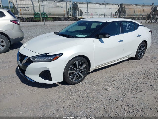 Nissan Maxima Sv Xtronic Cvt 2023 1N4AA6CV4PC512662 Image 2