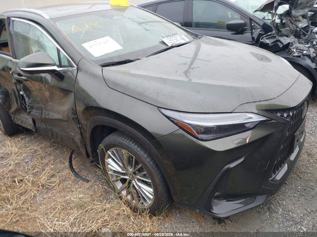 2024 Lexus Nx 350 Luxury მანქანა იყიდება აუქციონზე, vin: 2T2HGCEZXRC055898, აუქციონის ნომერი: 45316947