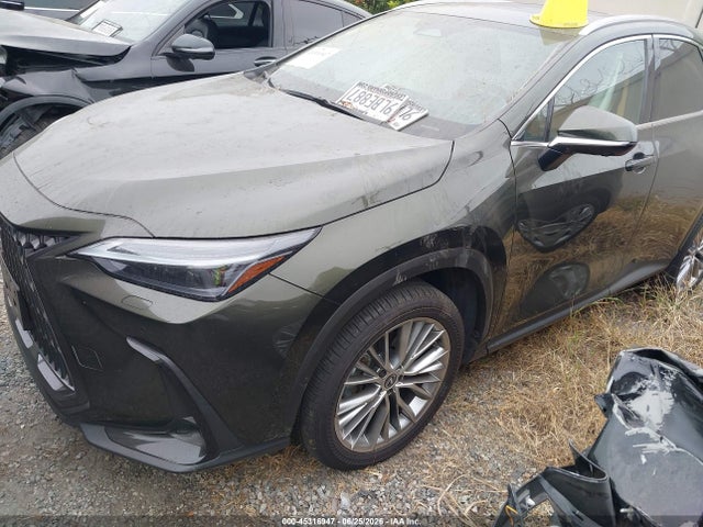2024 Lexus Nx 350 Luxury მანქანა იყიდება აუქციონზე, vin: 2T2HGCEZXRC055898, აუქციონის ნომერი: 45316947