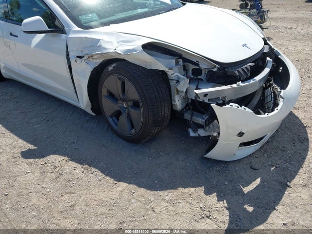 Продаж на аукціоні авто 2023 Tesla Model 3 Rear-wheel Drive, vin: 5YJ3E1EA3PF516189, номер лоту: 45318203