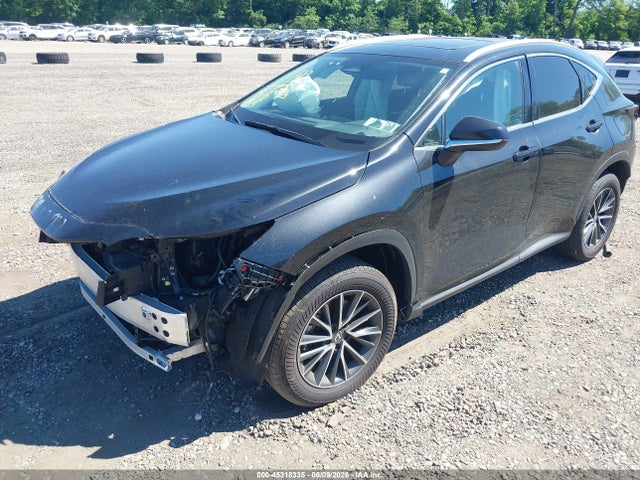 45318335 :رقم المزاد ، 2T2AGCEZ7SC065991 vin ، 2025 Lexus Nx 350 مزاد بيع