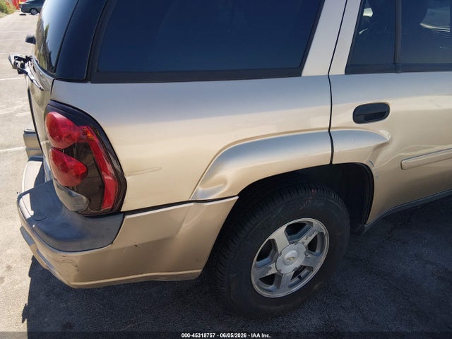 45318757 :رقم المزاد ، 1GNDT13S862203380 vin ، 2006 Chevrolet Trailblazer Ls مزاد بيع