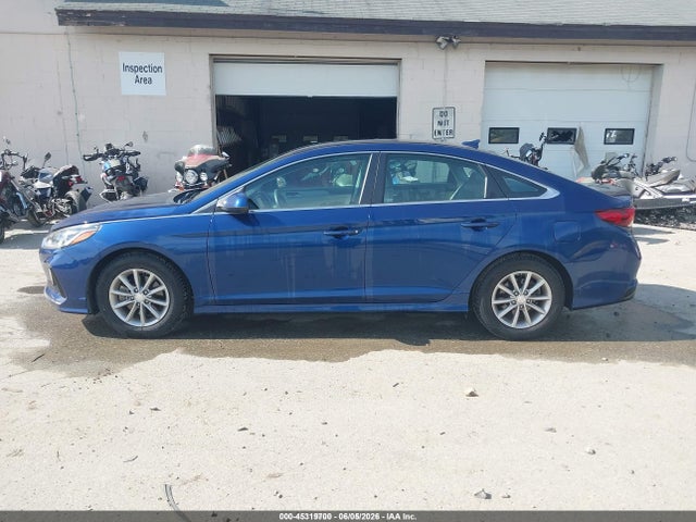 Продажа на аукционе авто 2019 Hyundai Sonata Eco, vin: 5NPE24AA5KH774281, номер лота: 45319700