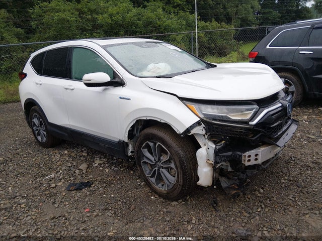 Auction sale of the 2020 Honda Cr-v Hybrid Ex, vin: 7FART6H58LE025398, lot number: 45320482