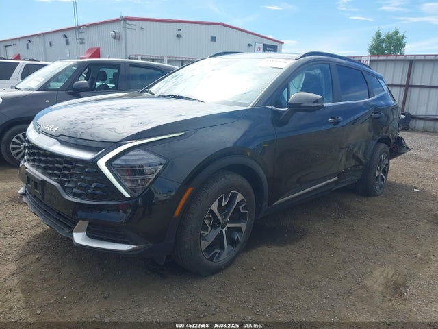 KNDPVCDG6S7247137 KIA Sportage Hybrid Ex