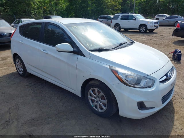 Aukcja sprzedaży 2014 Hyundai Accent Gs, vin: KMHCT5AE4EU161328, numer aukcji: 45325456