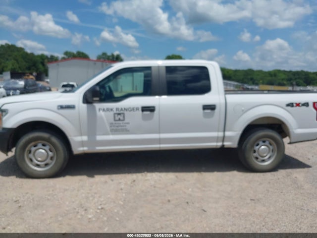 Aukcja sprzedaży 2020 Ford F-150 Xl, vin: 1FTEW1EB3LKE81777, numer aukcji: 45327022