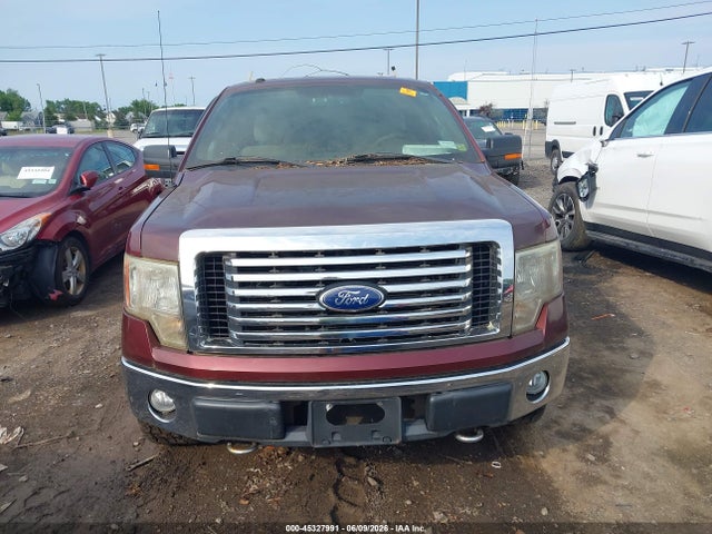Продажа на аукционе авто 2010 Ford F-150 Stx/xl/xlt, vin: 1FTEX1E83AFC76628, номер лота: 45327991