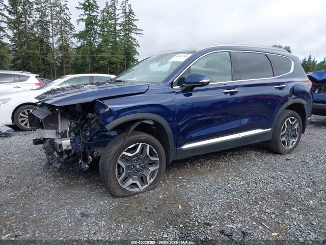Hyundai Santa Fe Limited 2023 5NMS4DAL8PH542471 Image 6